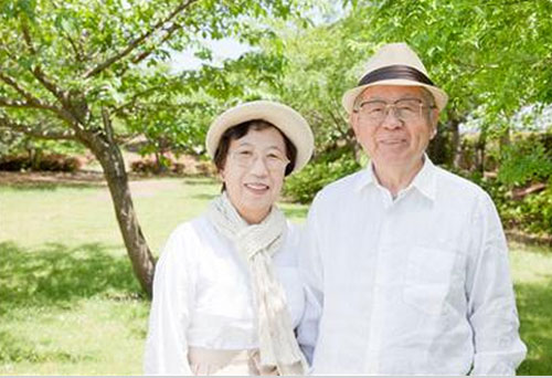 Пожилая пара японцев