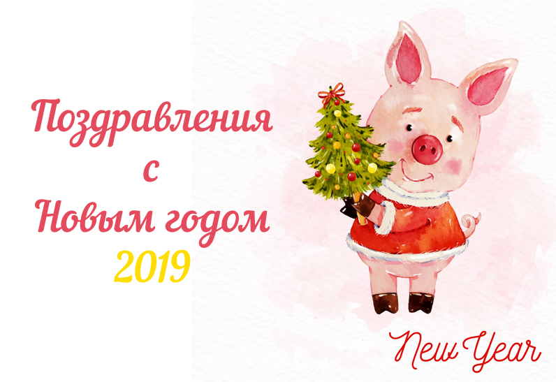 Поздравление С Новым Годом Свиньи Прикольные Подруге