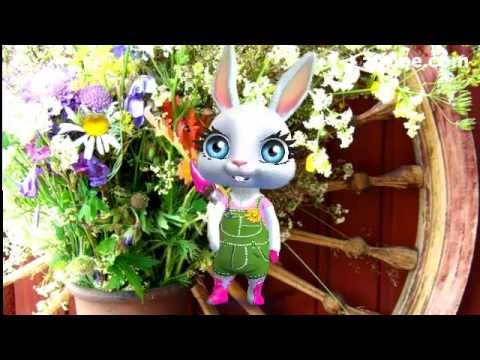 Вітаю з Трійцею. Веселих Зелених свят!