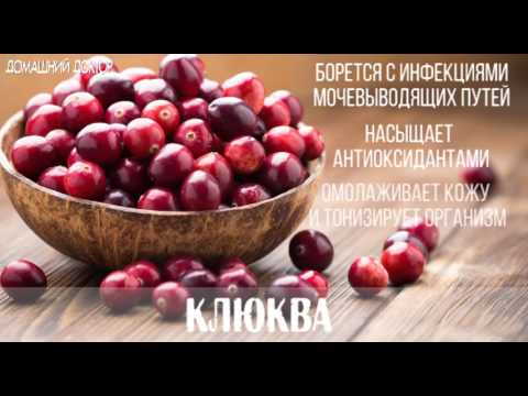 ТОП-15 самых полезных продуктов для организма