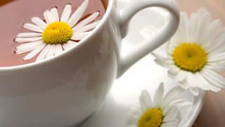Ромашковий чай як засіб проти раку