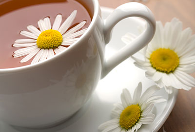 Ромашковый чай как средство против рака