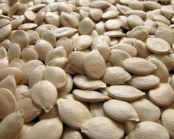 6 корисних властивостей гарбузового насіння