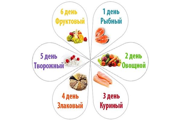 Дієта 6 пелюсток - схема харчування - інфографіка