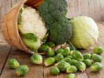 cabbages