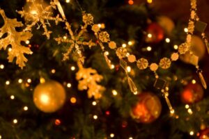 christmas tree photo