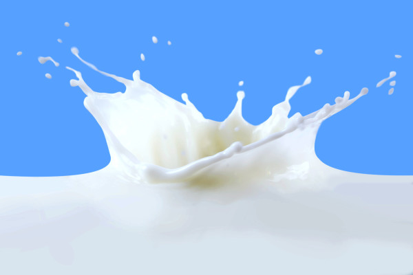 milk