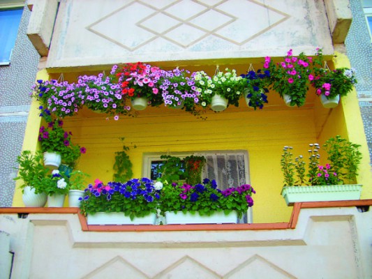 Балконный цветник