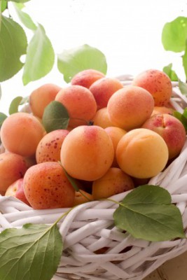 Спелые абрикосы в корзине - фото