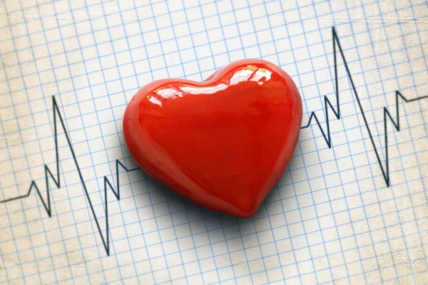 Фото сердца и кардиограммы