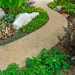 stone walkway in garden