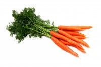 морковь фото