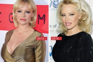 Памела Андерсон