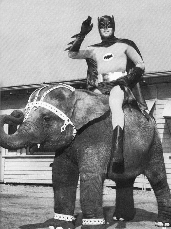 Adam West as Batman riding an elephant, 1967