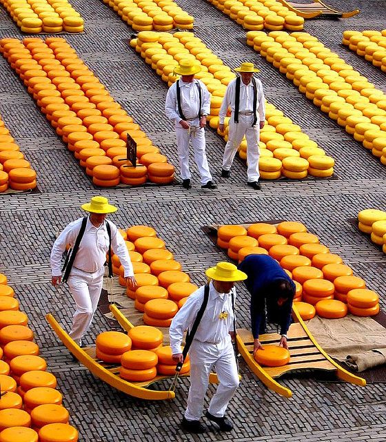 Cheese Market, Alkmaar, Holland