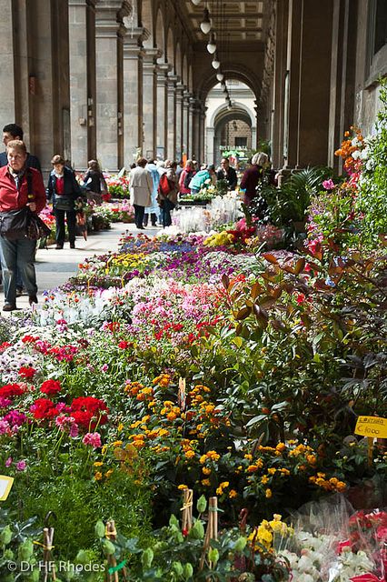 Flower Market, Piazza della Repubblica, Florence, Italy