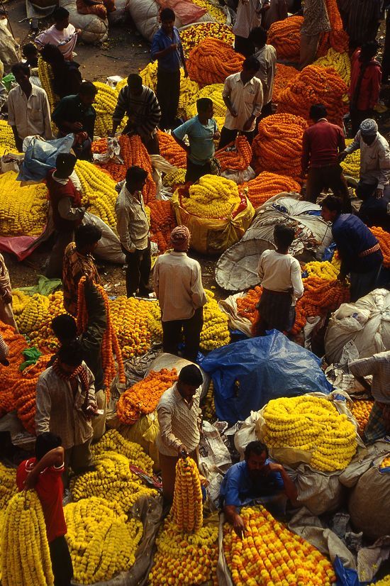 Kalkutta, A colorful view of flower market