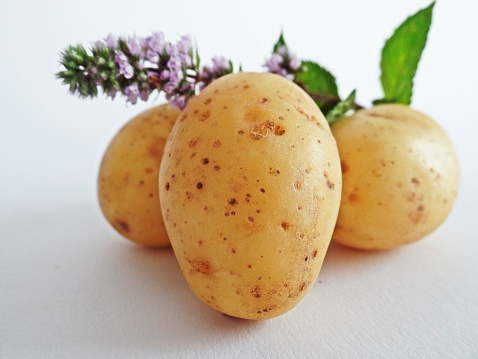Potatoes And Flower Against White Background - фото