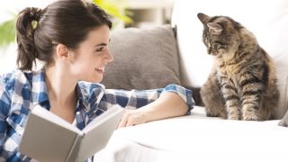 Фелінотерапія: чому кішки лікують людей