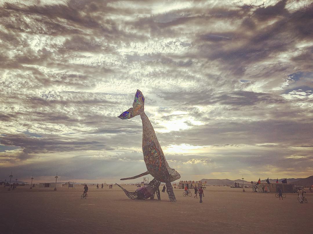 Burning Man (5)