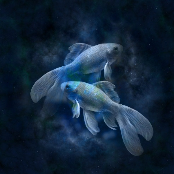 Рыбы - гороскоп от Павла Глобы на 2017 год