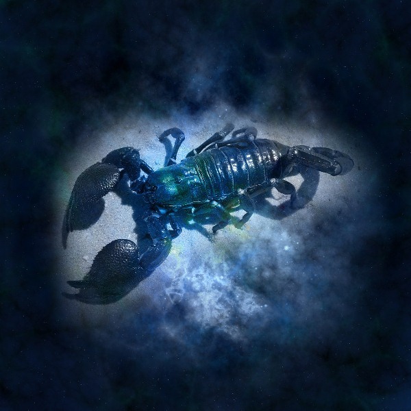 Скорпион - гороскоп от Павла Глобы на 2017 год
