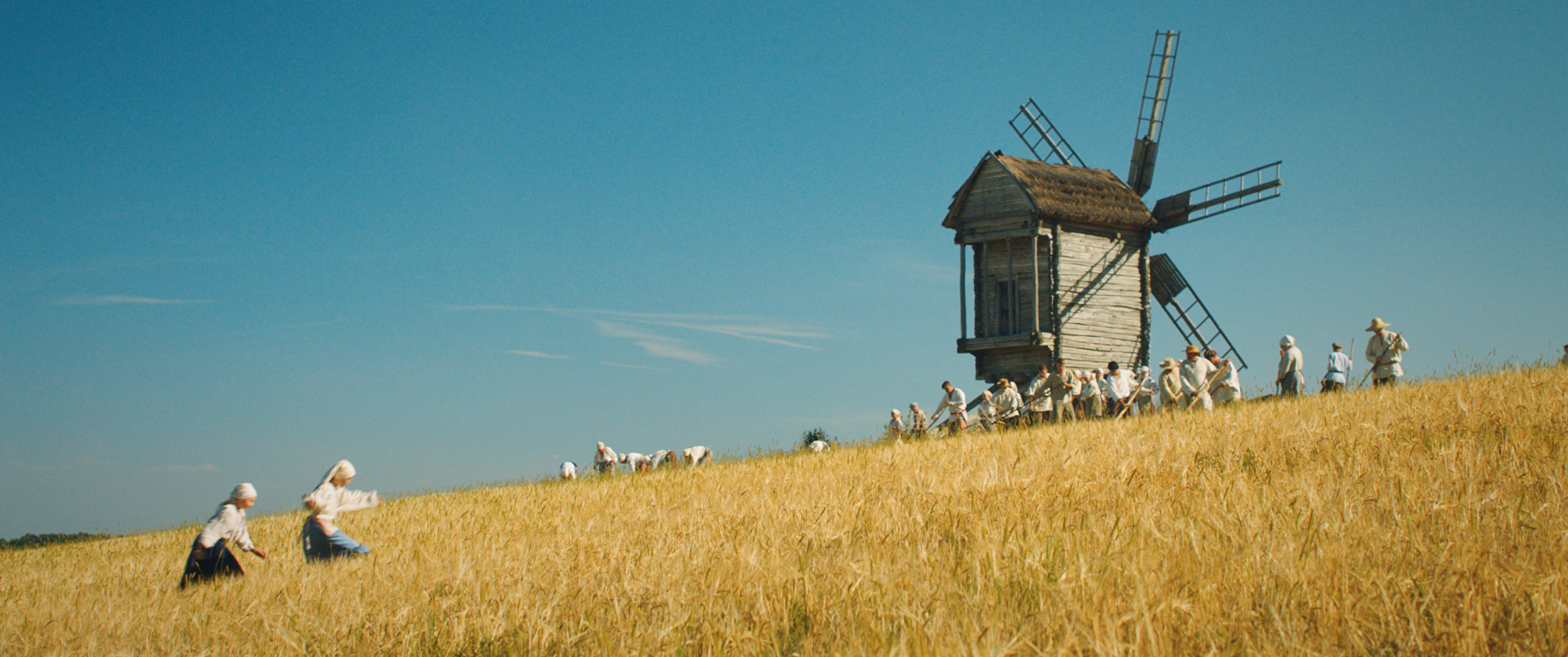 горькая жатва