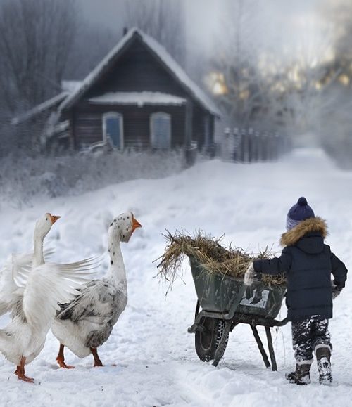 Що не можна робити на Стрітення Що не можна робити на Стрітення