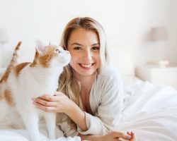 Питание кошек: аргументы в пользу беззернового рациона