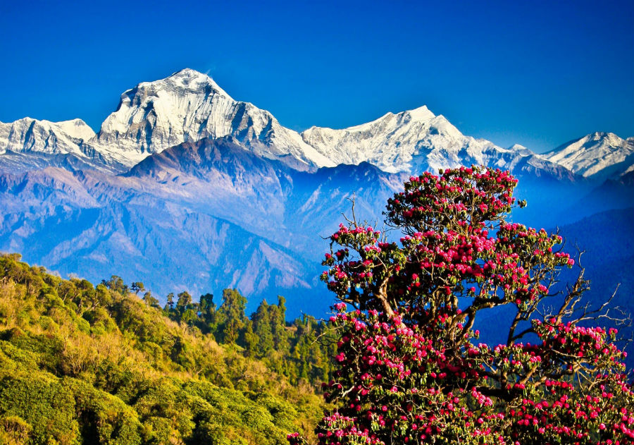 Непал весной