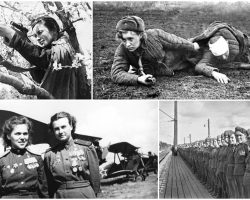 Женщины на войне: истории, которые должен знать каждый