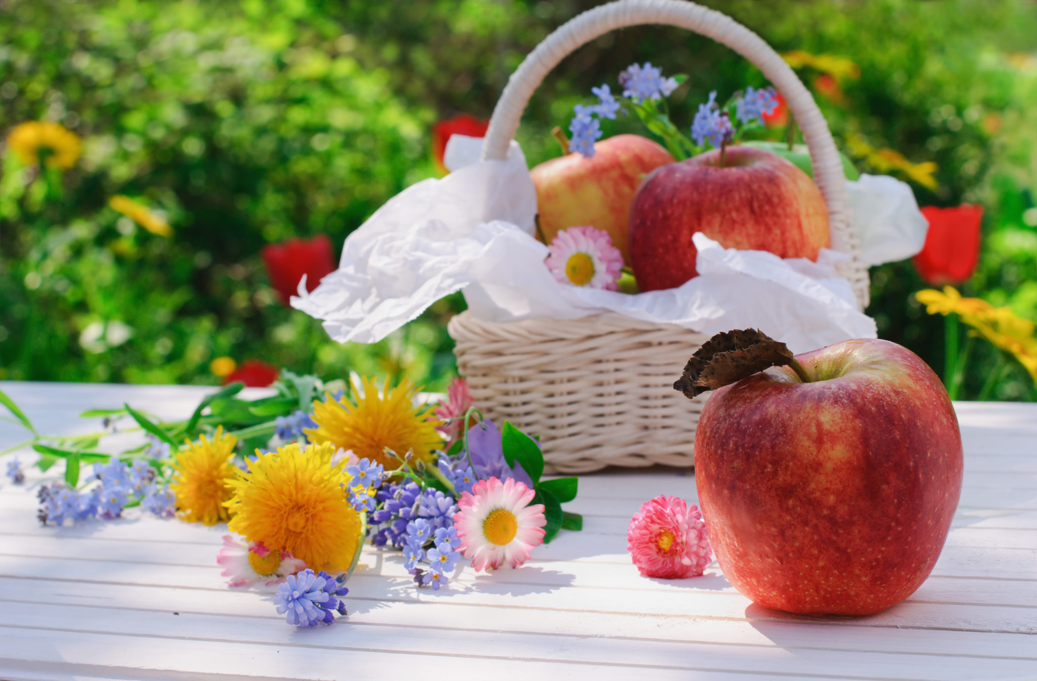 Теплого августовского дня. Яблочный спас. Корзинка с яблоками. Натюрморт лето. Августовские цветы.