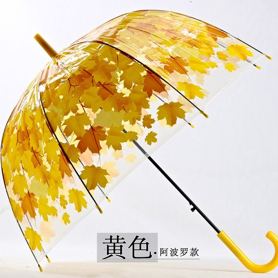 Осенний зонтик 