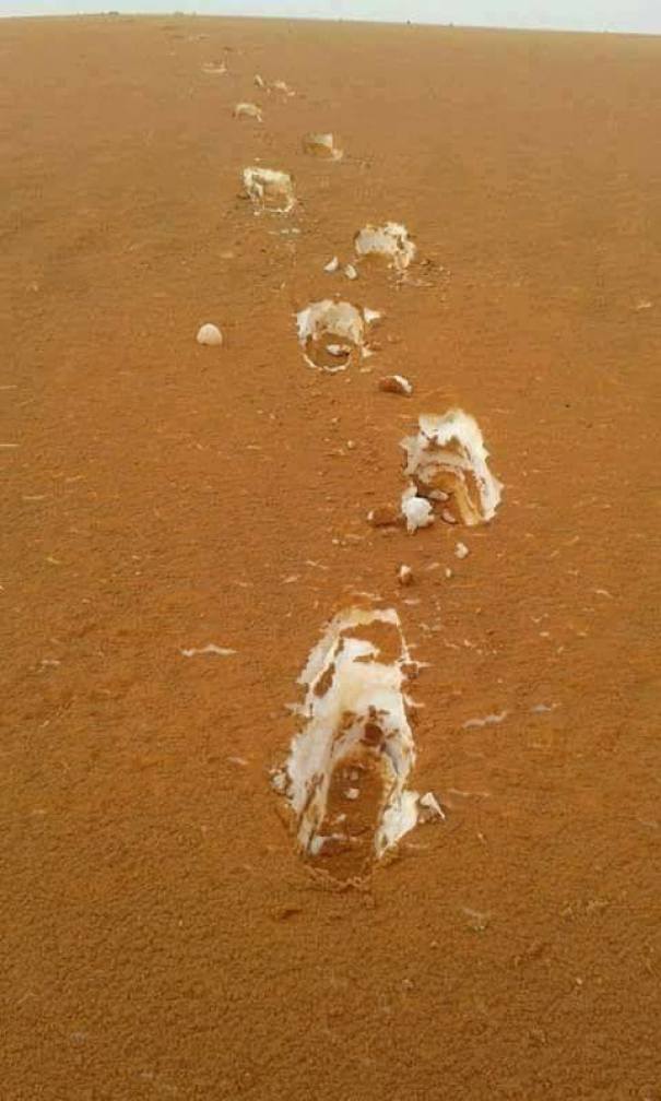 фото сделано в алжирской пустыне, которая усыпана снегом. Выглядит как тирамису