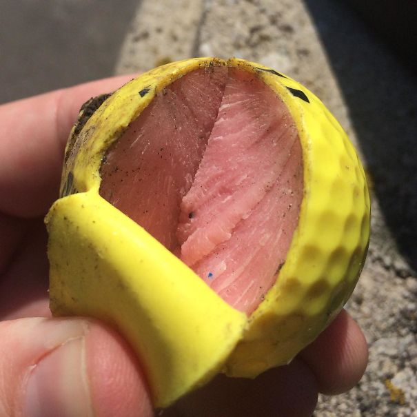 У мяча для гольфа внутри на самом деле мясо. Ну это не точно