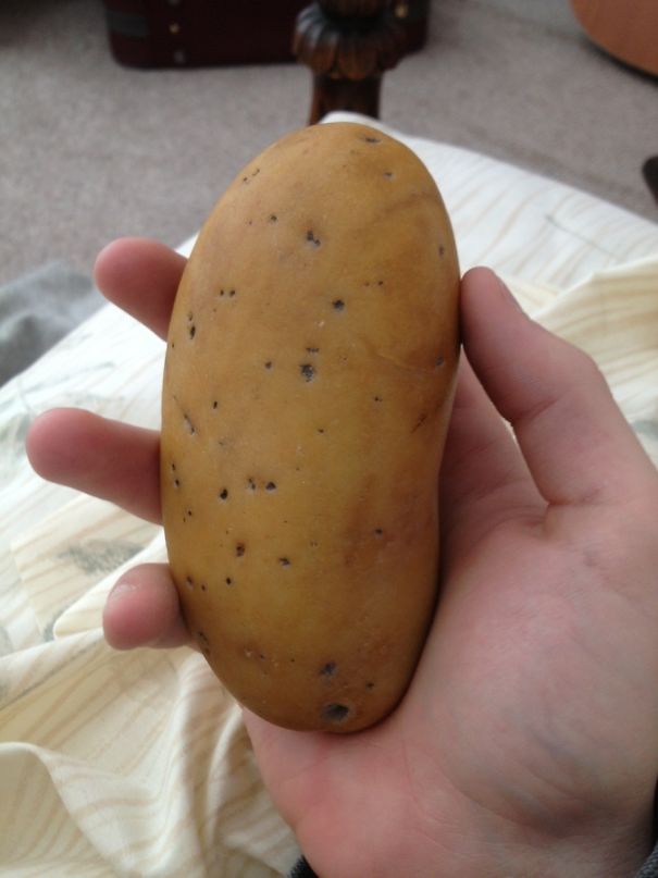 Нет, это не картошка. Это кусок скалы 