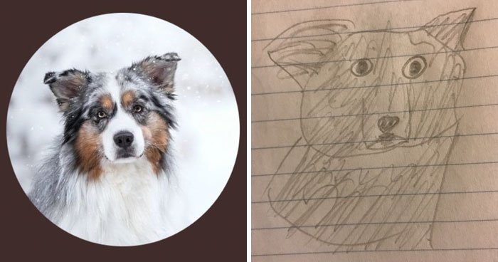 рисовать собаку