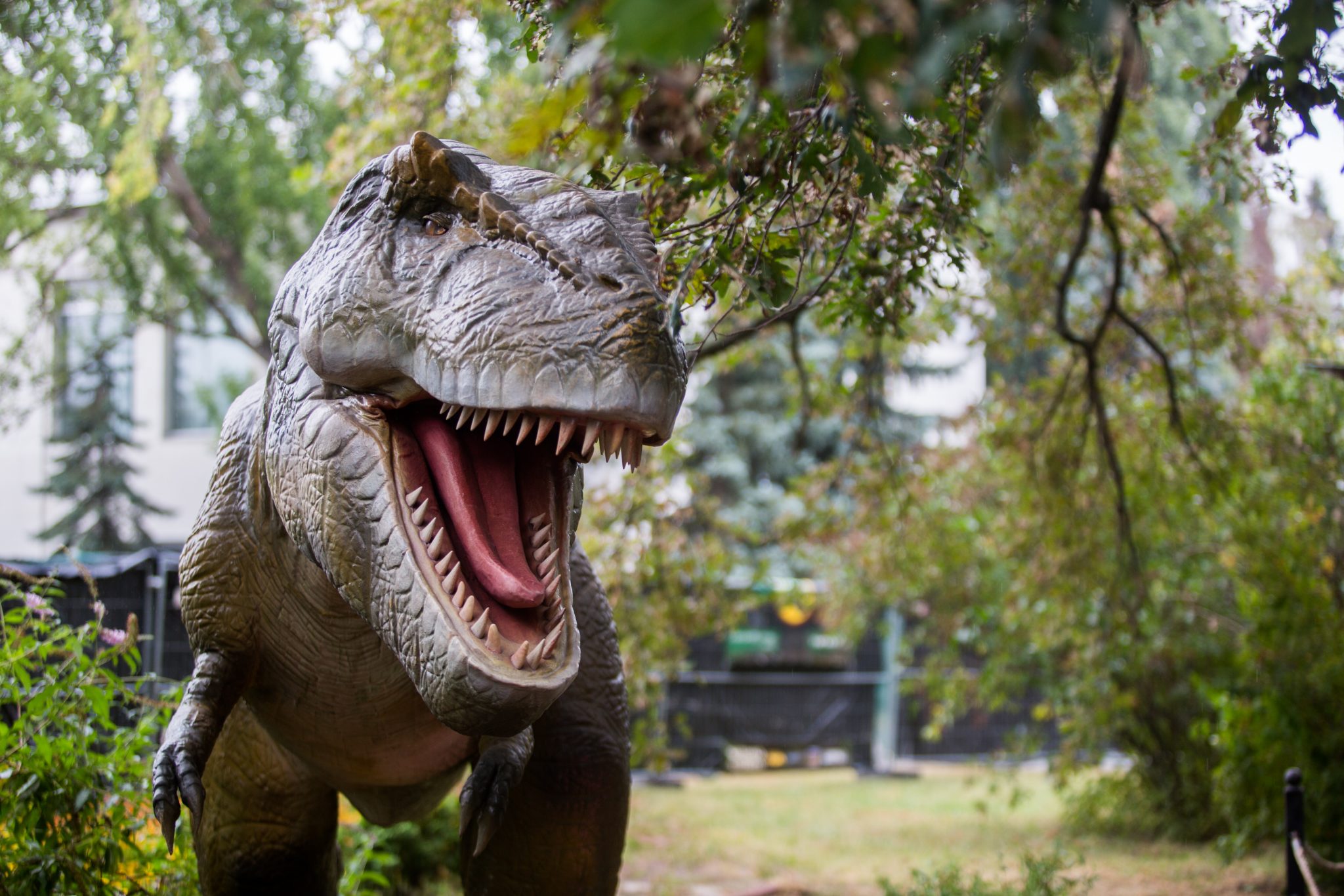 Парк Юрского периода: на ВДНГ вернулись динозавры