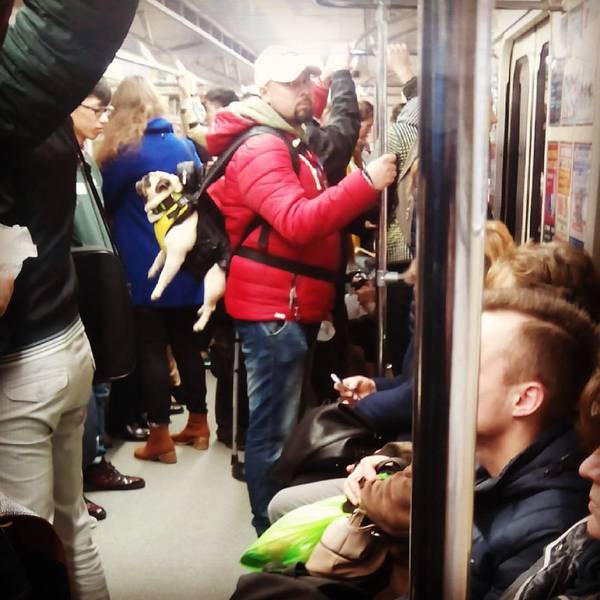 смішні фото метро