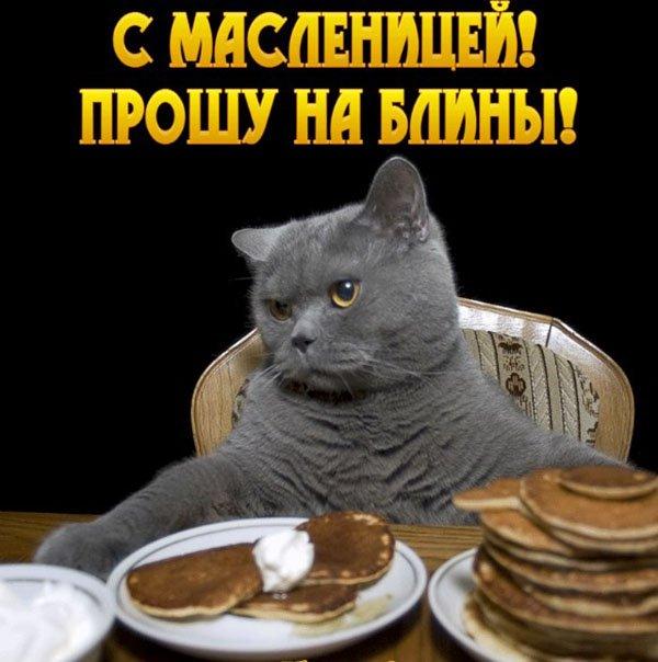 масленица поздравления смс масленица 2019 открытки картинки