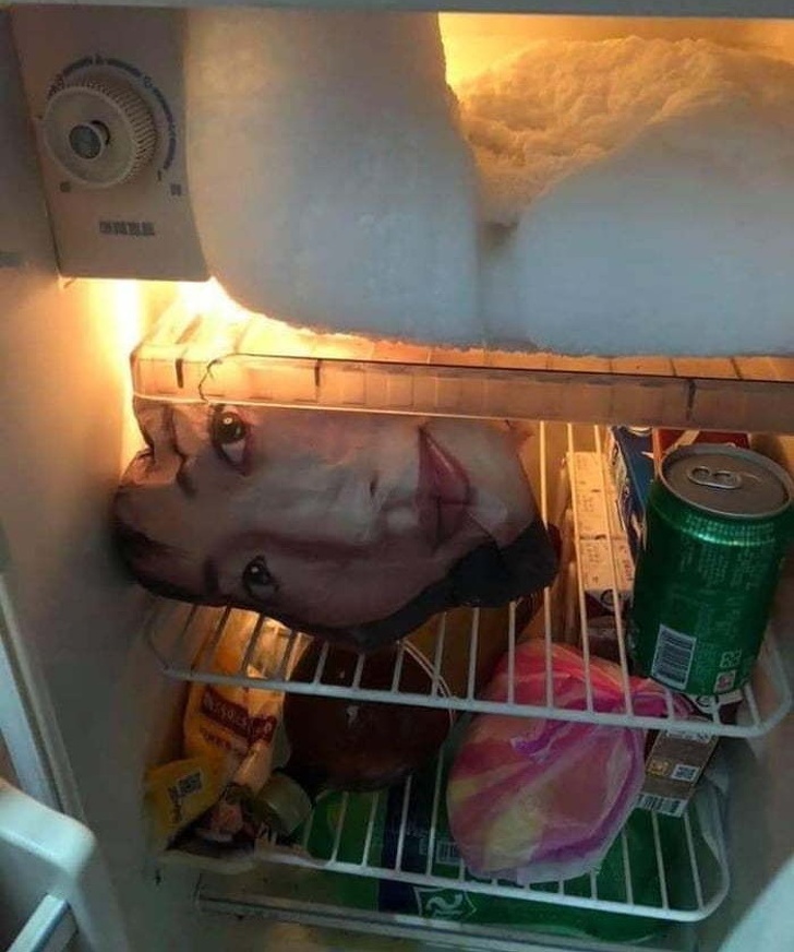 холодильник прикол 