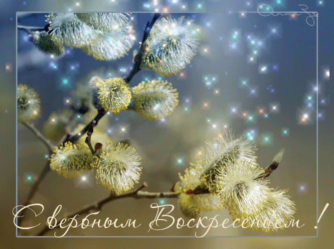 вербное воскресенье открытки картинки фото вербное воскресенье картинки открытки фото