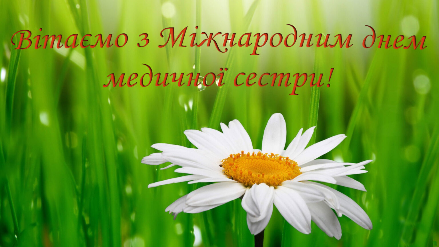 З днем медичної сестри картинки на українській мові