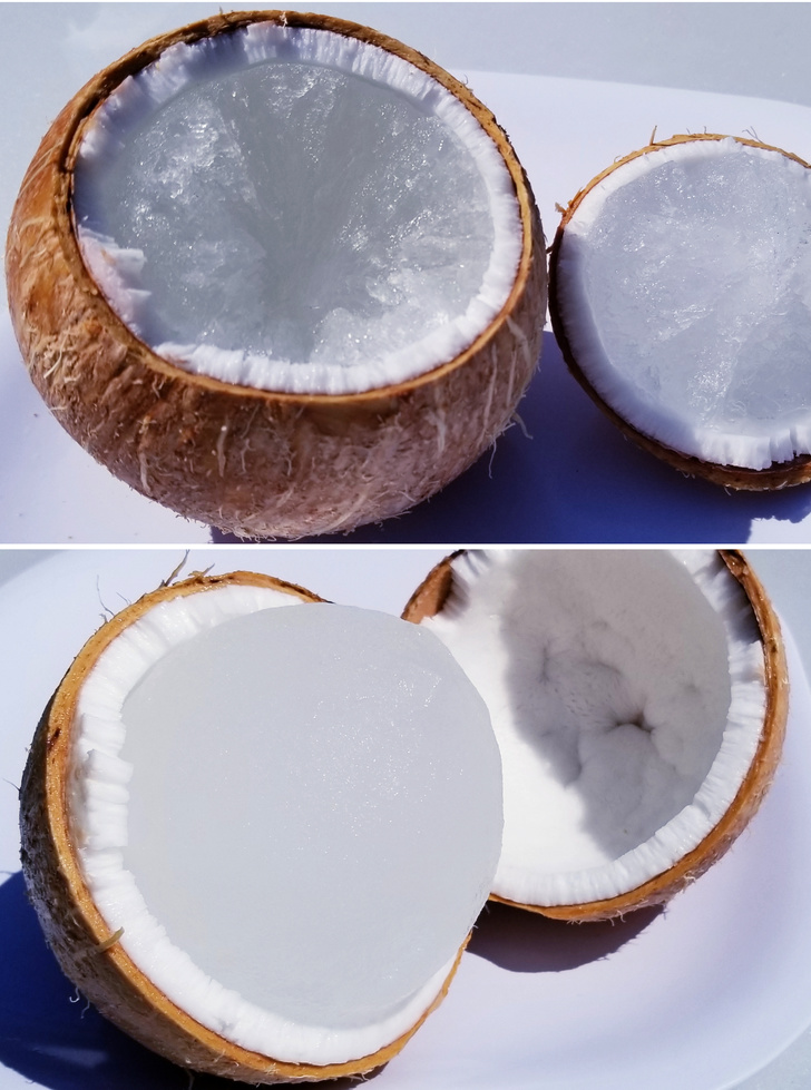 кокос как его поламать морозилка