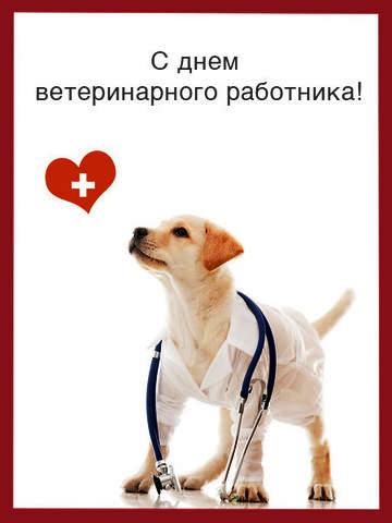 День ветеринарного врача - открытка
