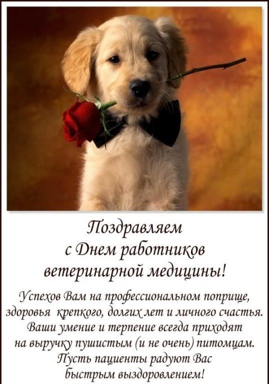Поздравление с Днем ветеринара - открытка