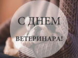 День ветеринара - дата, открытки