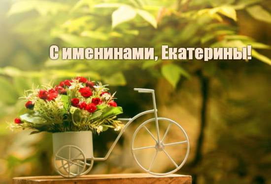 святой екатерины картинки с днем 7 декабря. Смотреть фото святой екатерины картинки с днем 7 декабря. Смотреть картинку святой екатерины картинки с днем 7 декабря. Картинка про святой екатерины картинки с днем 7 декабря. Фото святой екатерины картинки с днем 7 декабря