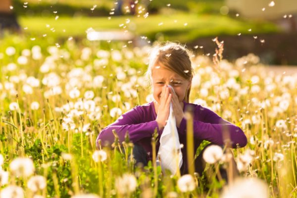 Аллергия на пыльцу и коронавирус
