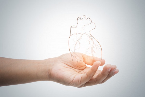 Как сохранить сердце здоровым: ученые нашли простой рецепт